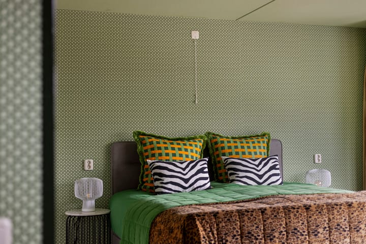 Foto 21 van Bisonstraat 9