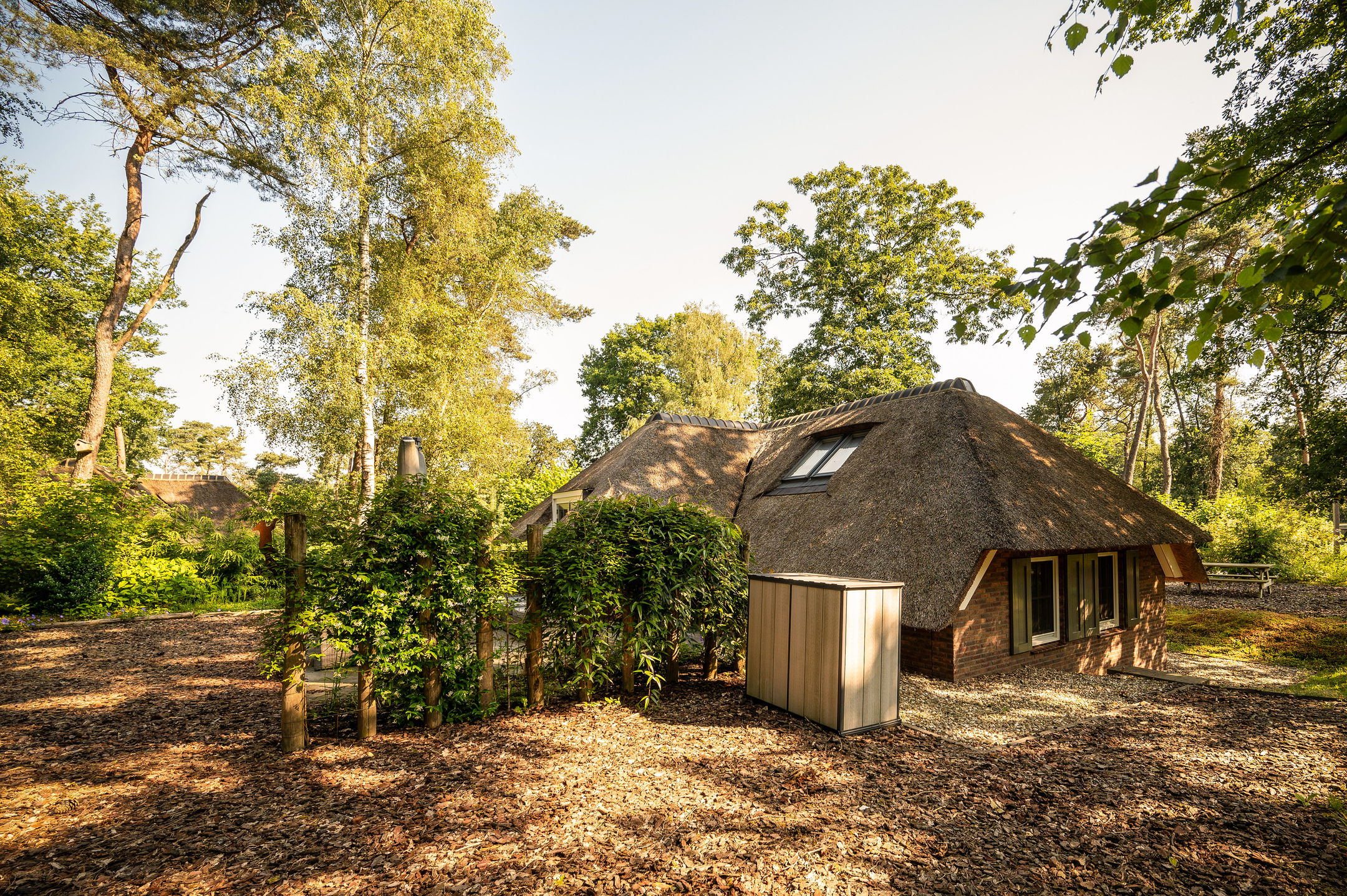 Foto 30 van Hoorneweg 17-B18