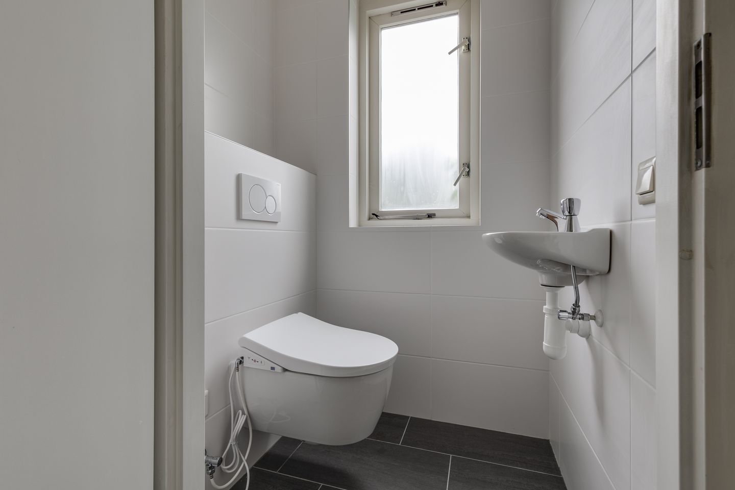 Foto 19 van Blauwe Reiger 20