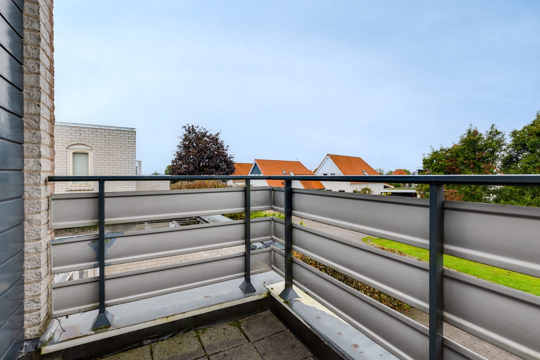 Foto 26 van Blauwe Reiger 20