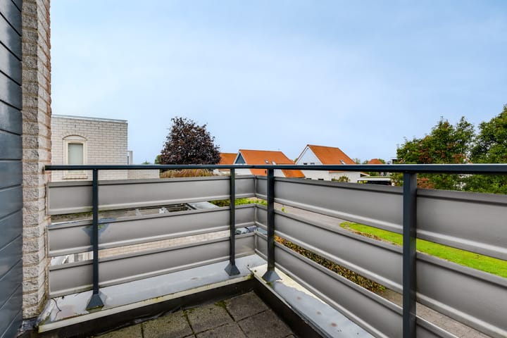 Photo 26 of Blauwe Reiger 20