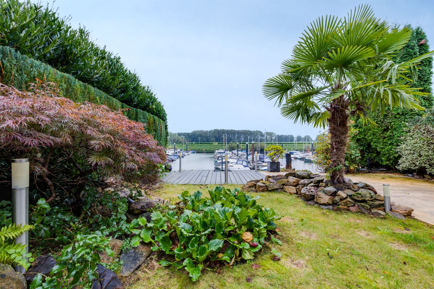 Foto 35 van Blauwe Reiger 20