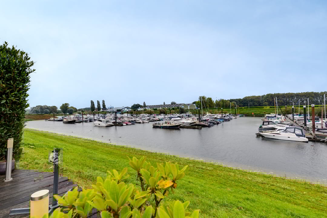 Foto 2 van Blauwe Reiger 20