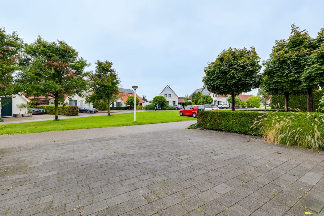 Foto 43 van Blauwe Reiger 20