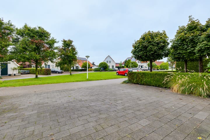 Photo 43 of Blauwe Reiger 20