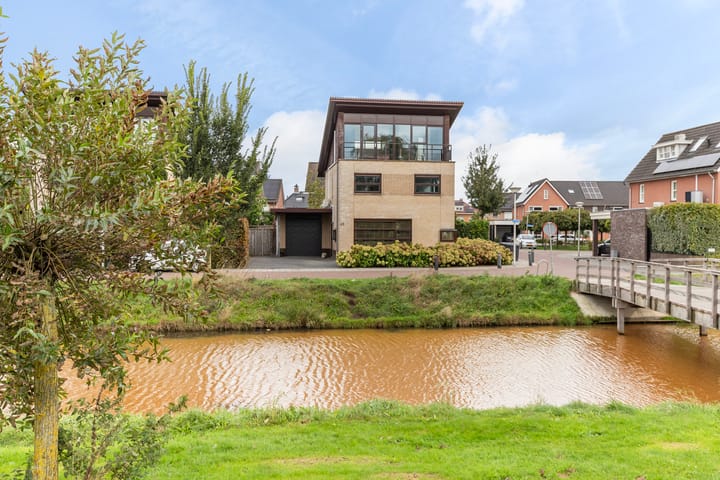 Foto 2 van Fluitekruid 43