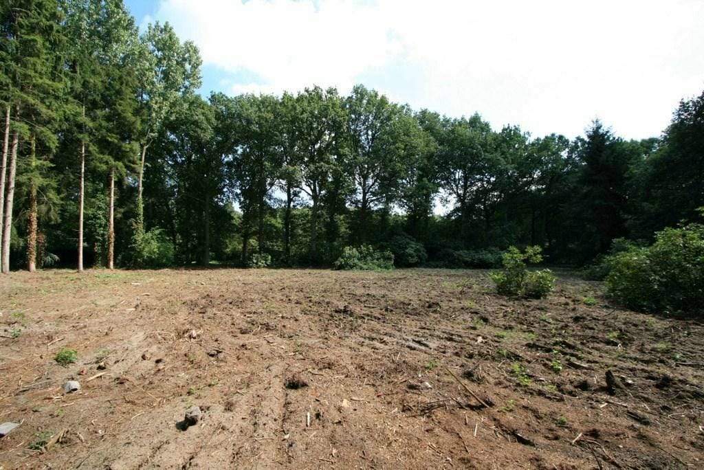 Foto 3 van Steenweg Op Mol 202 - 9B