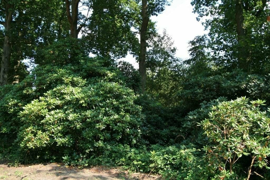 Foto 12 van Steenweg Op Mol 202 - 9B