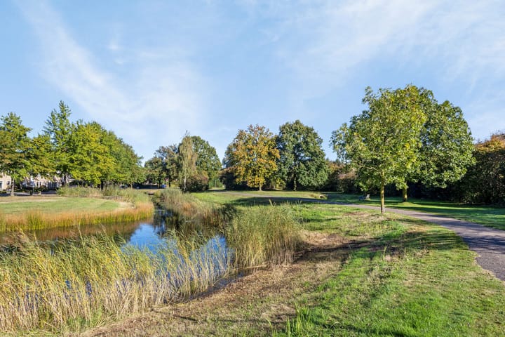 Foto 36 van van Goyenstraat 10