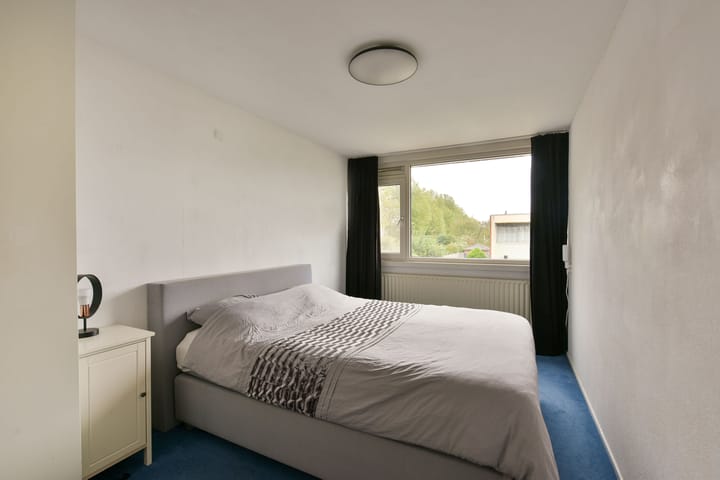 Photo 14 of Bertram 117