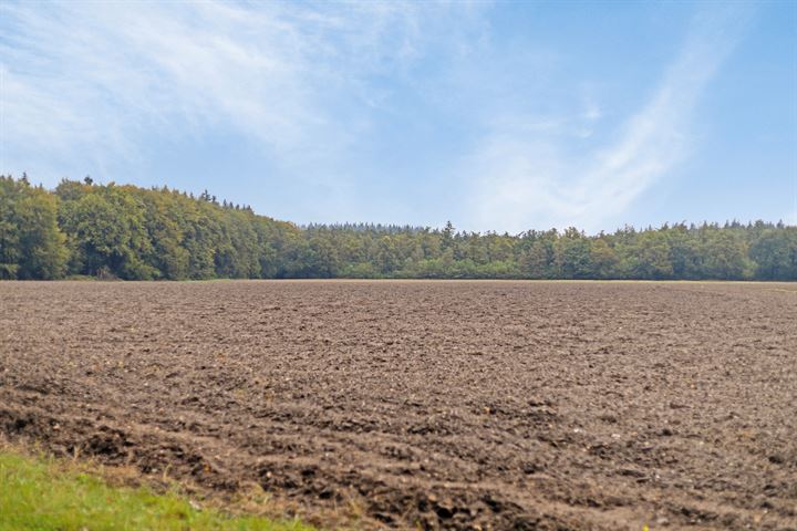 Bekijk foto 37 van Elsterstraatweg 33