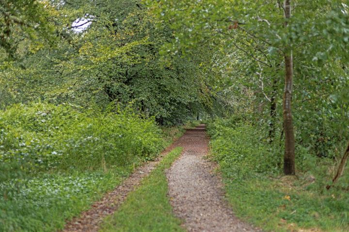 Bekijk foto 39 van Elsterstraatweg 33