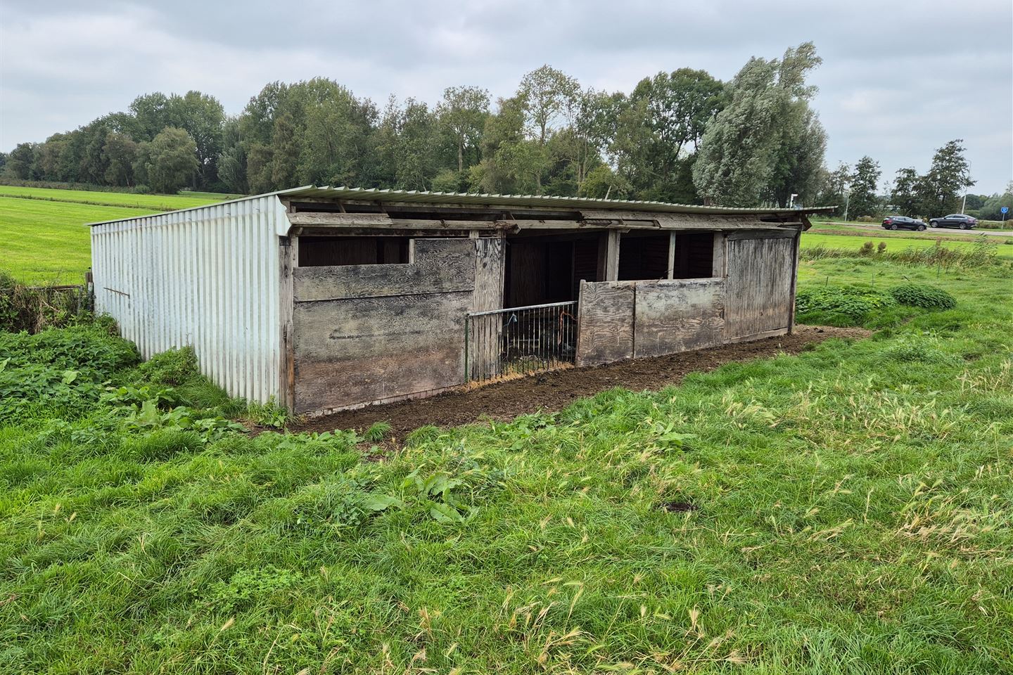 Bekijk foto 5 van Treinweg