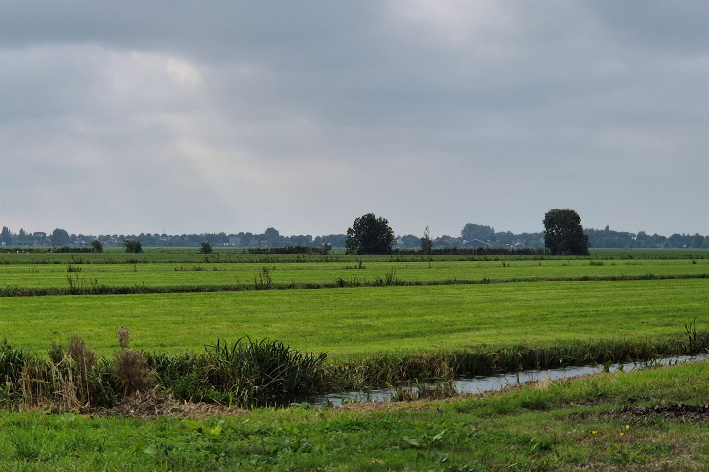 Bekijk foto 2 van Treinweg