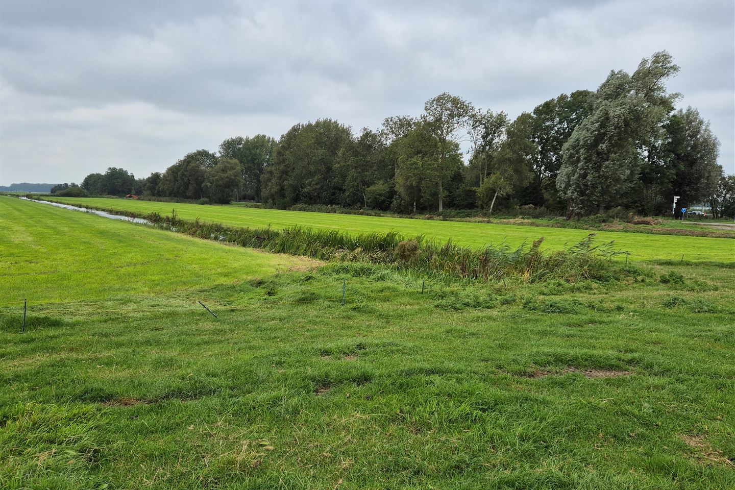 Bekijk foto 4 van Treinweg