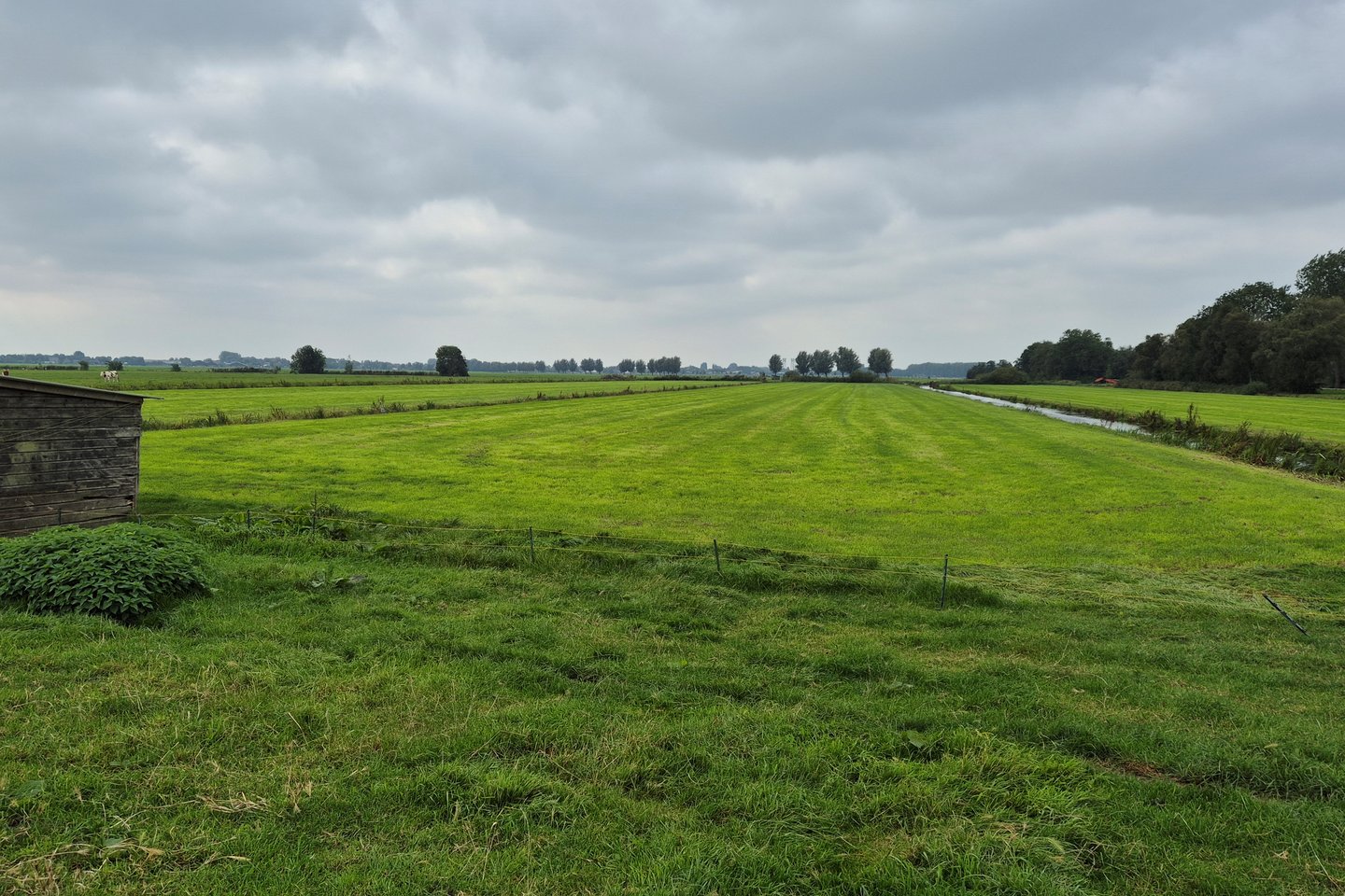 Bekijk foto 3 van Treinweg