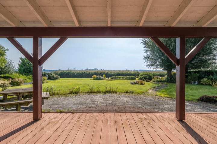 Foto 3 van Cantharel 37