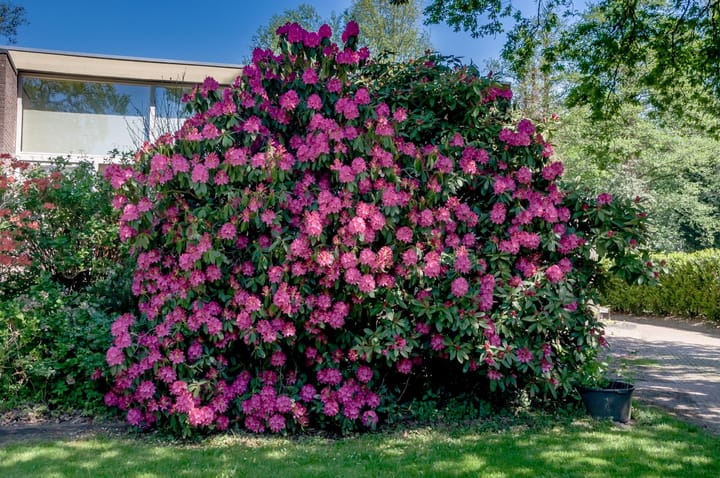 Photo 13 of Dwingelderdijk 1