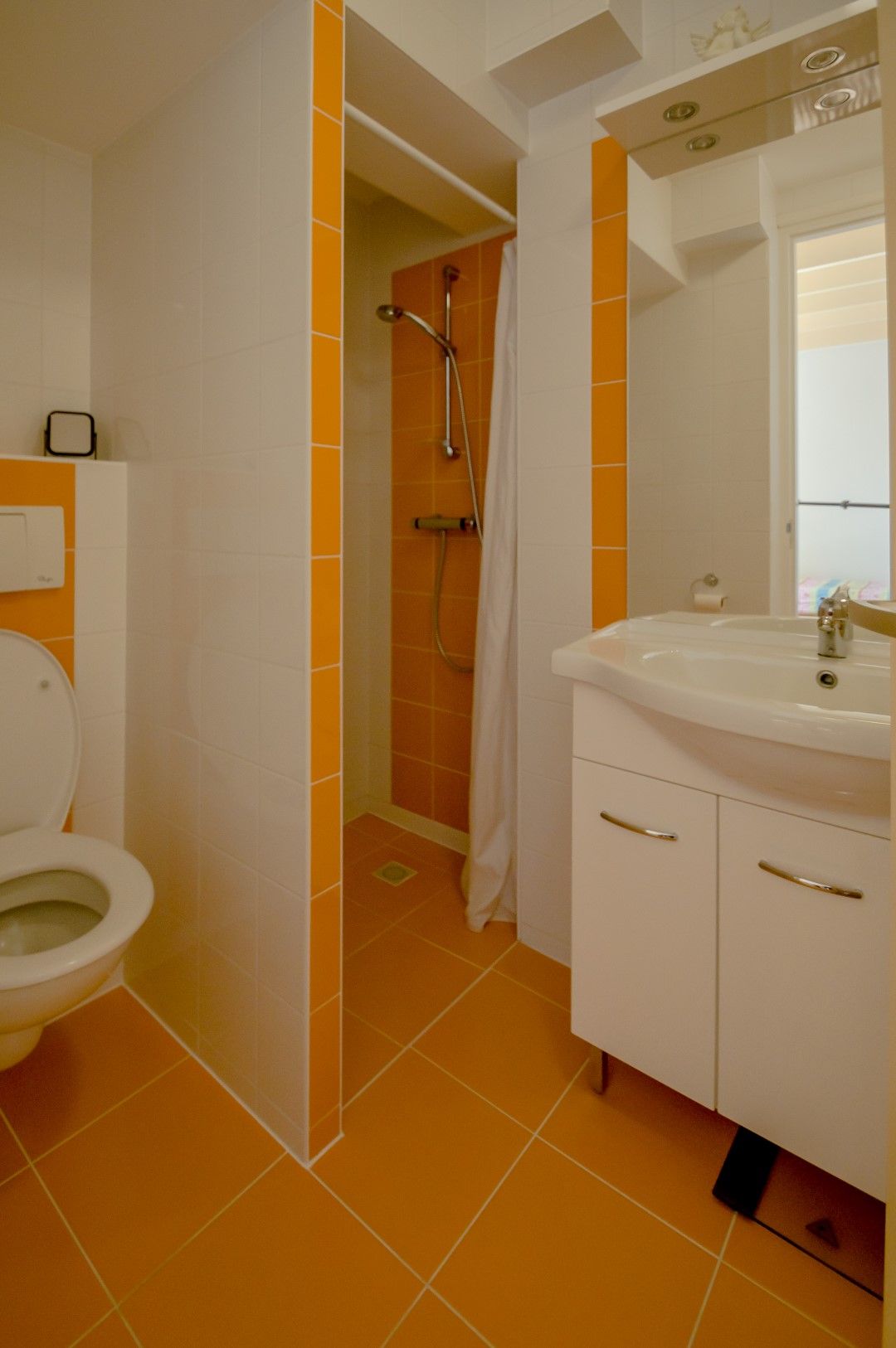 Foto 61 van Dwingelderdijk 1