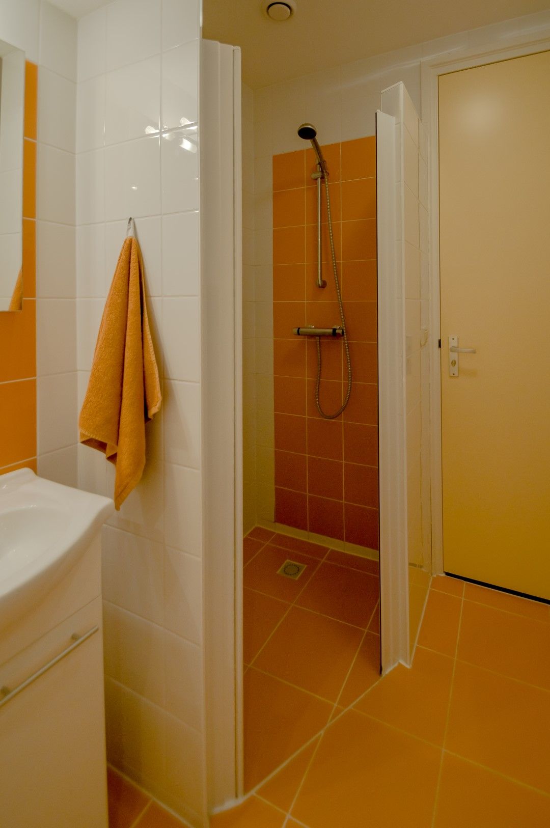 Foto 60 van Dwingelderdijk 1