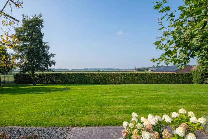 Foto 29 van Linthorsterstraat 4