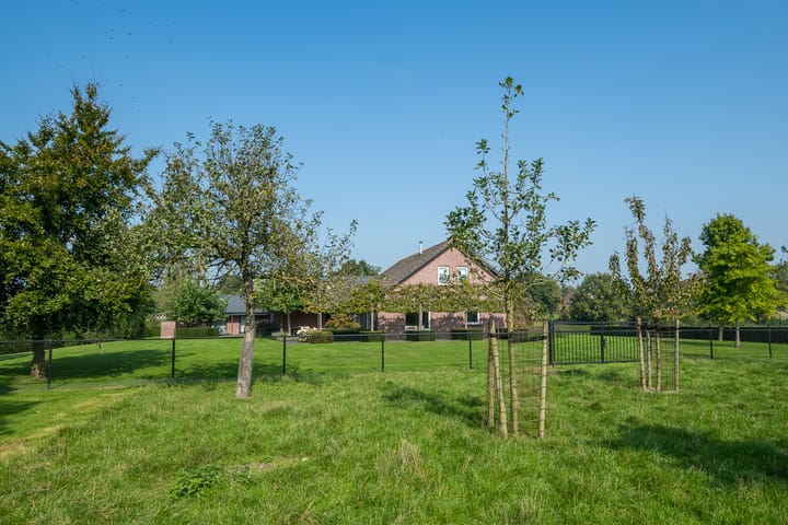 Foto 46 van Linthorsterstraat 4