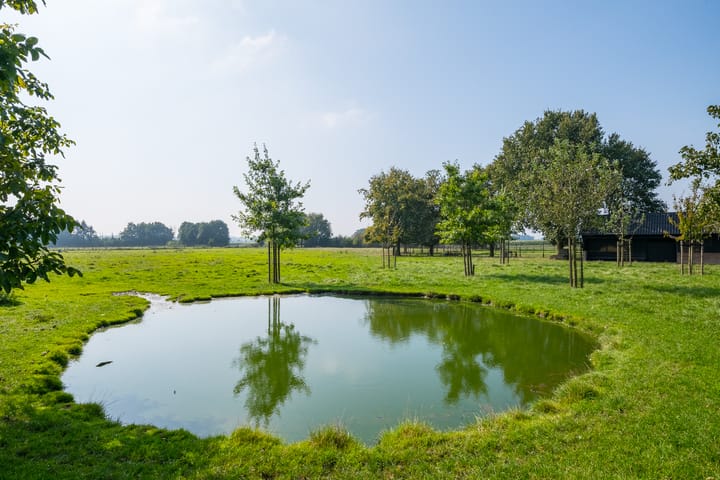 Foto 47 van Linthorsterstraat 4