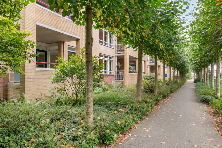 Foto 1 van Dorpsveld 35