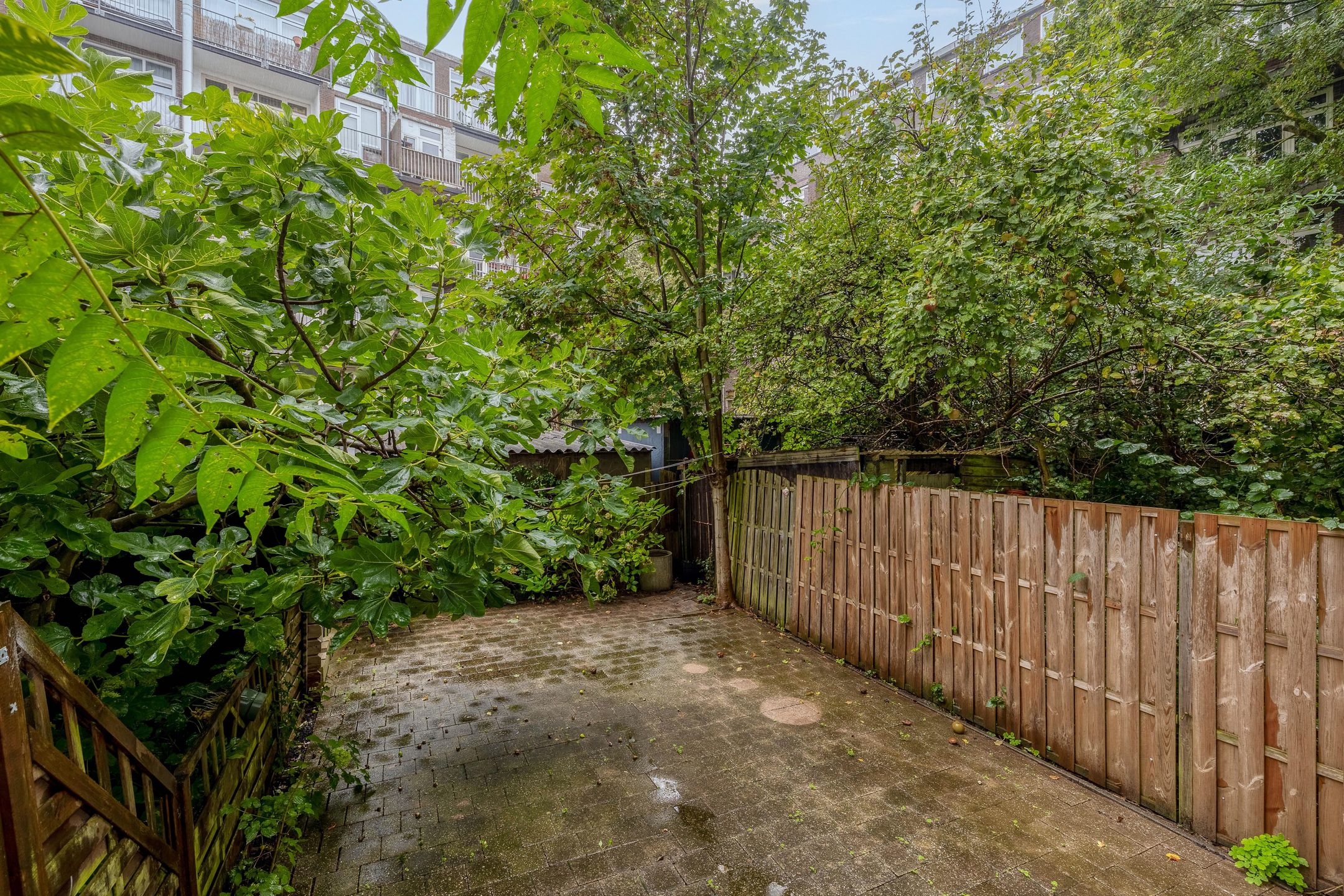 Photo 3 of Bergpolderstraat 64-A