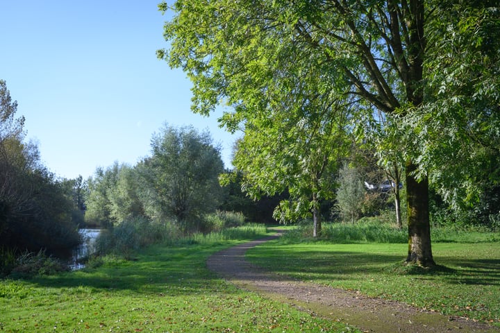 Bekijk foto 29 van Troelstralaan 53