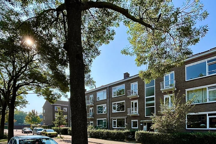 Bekijk foto 1 van Wijnandt van Elststraat 70