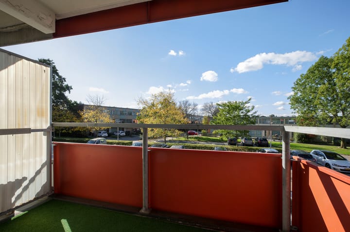 Foto 16 van Zevenblad 16