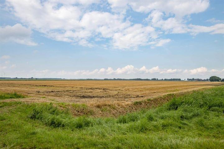 Bekijk foto 4 van Hoofdweg Oost 71