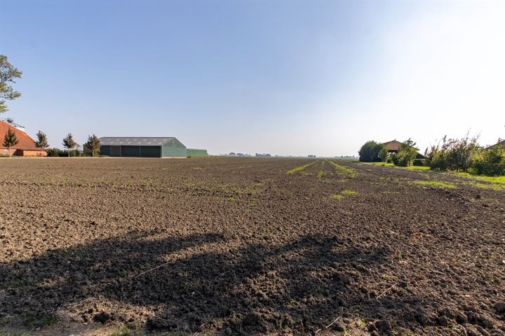 Bekijk foto 35 van Hoofdweg Oost 71