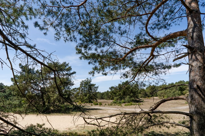 Bekijk foto 44 van Kerkendelweg 30-03