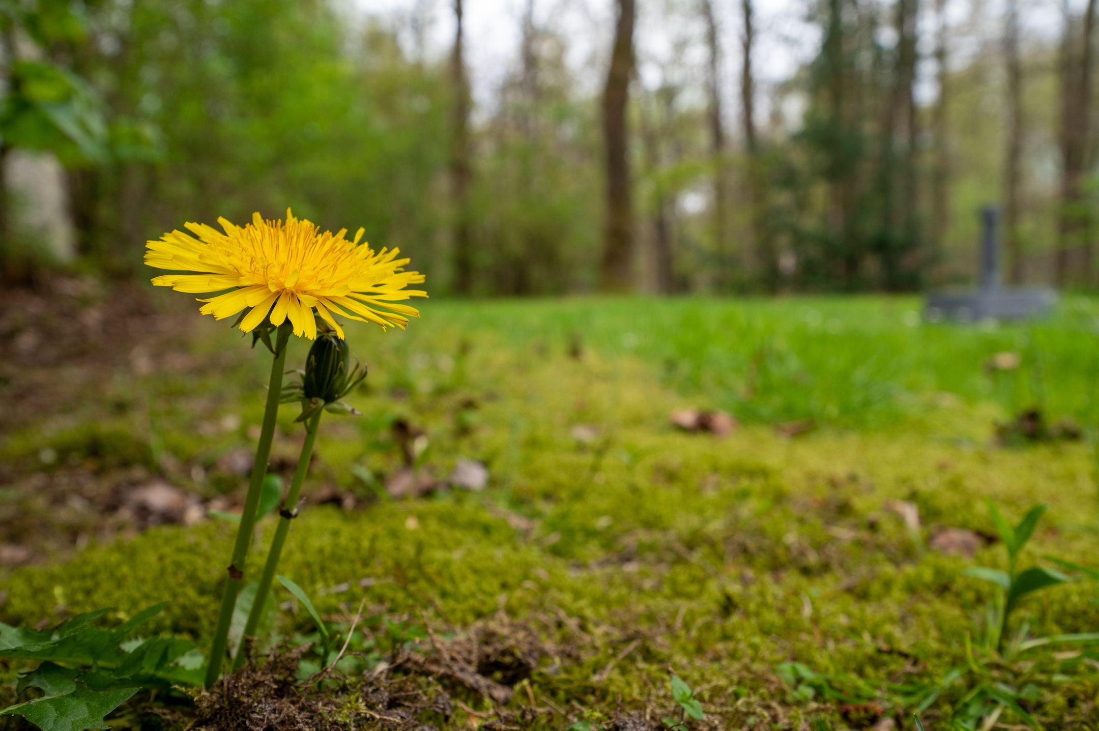 Foto 30 van Krimweg 140-B18