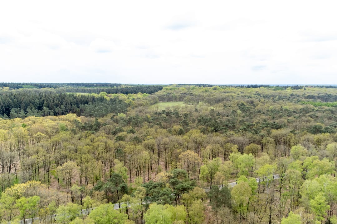 Foto 41 van Krimweg 140-B18