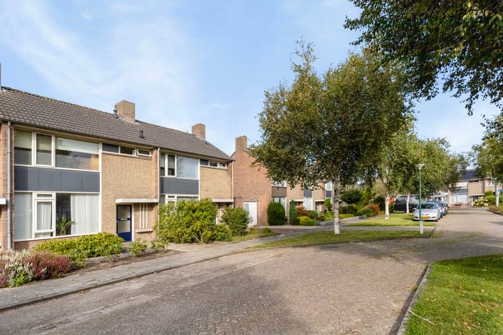 Photo 6 of Vogelliusstraat 11