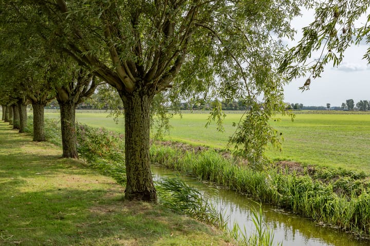 Foto 38 van Moerbeek 50