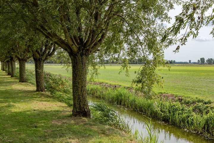 Bekijk foto 38 van Moerbeek 50