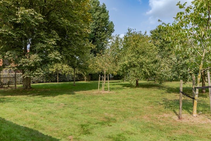 Foto 40 van Moerbeek 50