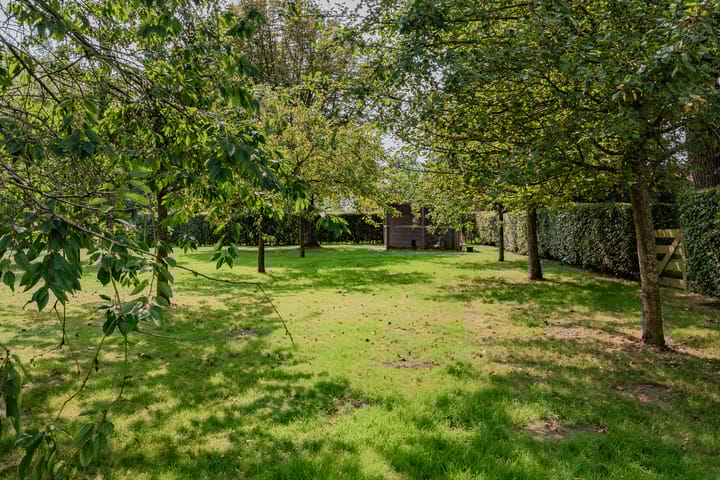 Foto 41 van Moerbeek 50