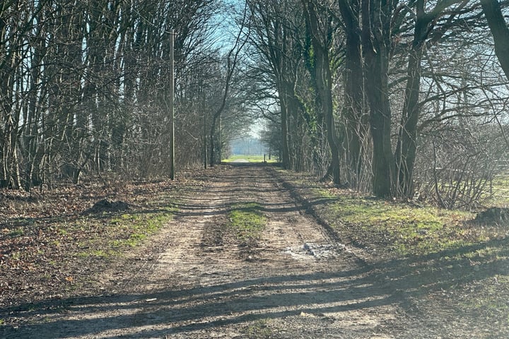 Bekijk foto 37 van Am Sportplatz 1