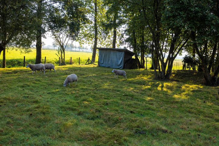 View photo 51 of Weteringdijk 89