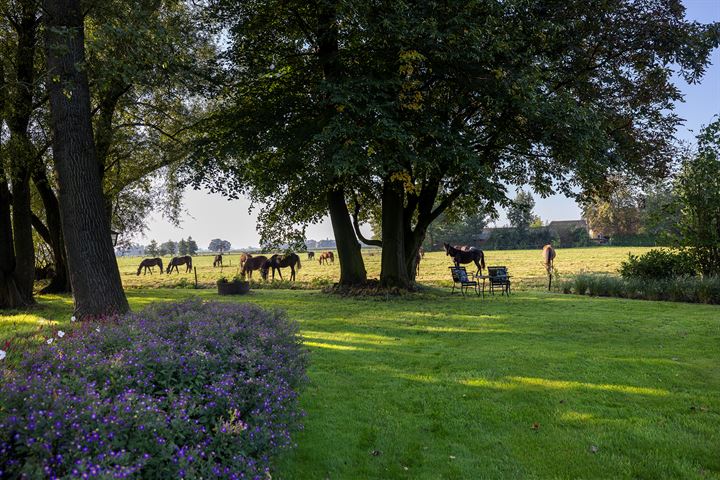 View photo 52 of Weteringdijk 89