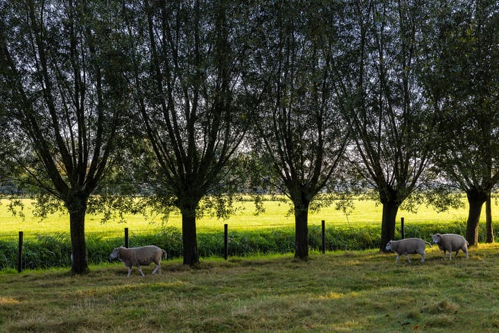 Photo 53 of Weteringdijk 89