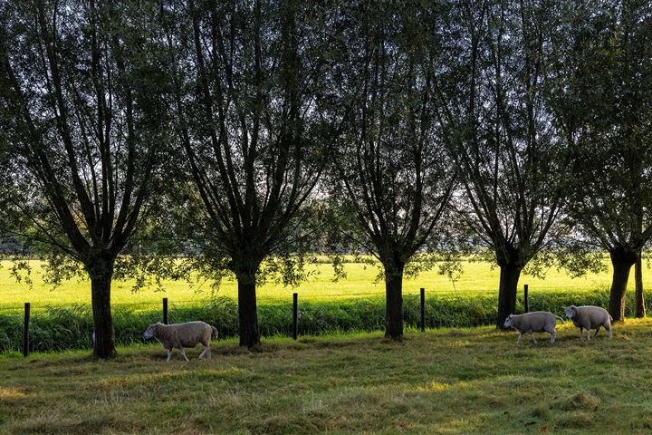 View photo 53 of Weteringdijk 89