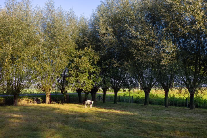 Photo 54 of Weteringdijk 89