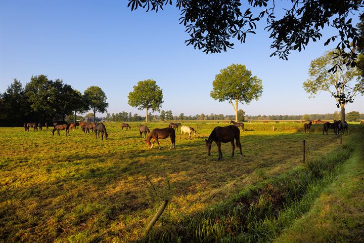 View photo 64 of Weteringdijk 89