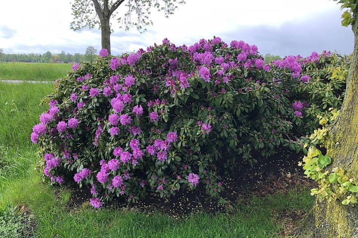 Photo 65 of Weteringdijk 89